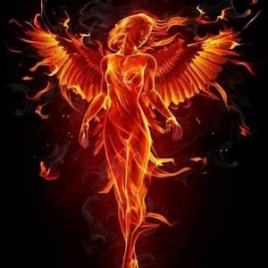 Meet your Posher, Kandie